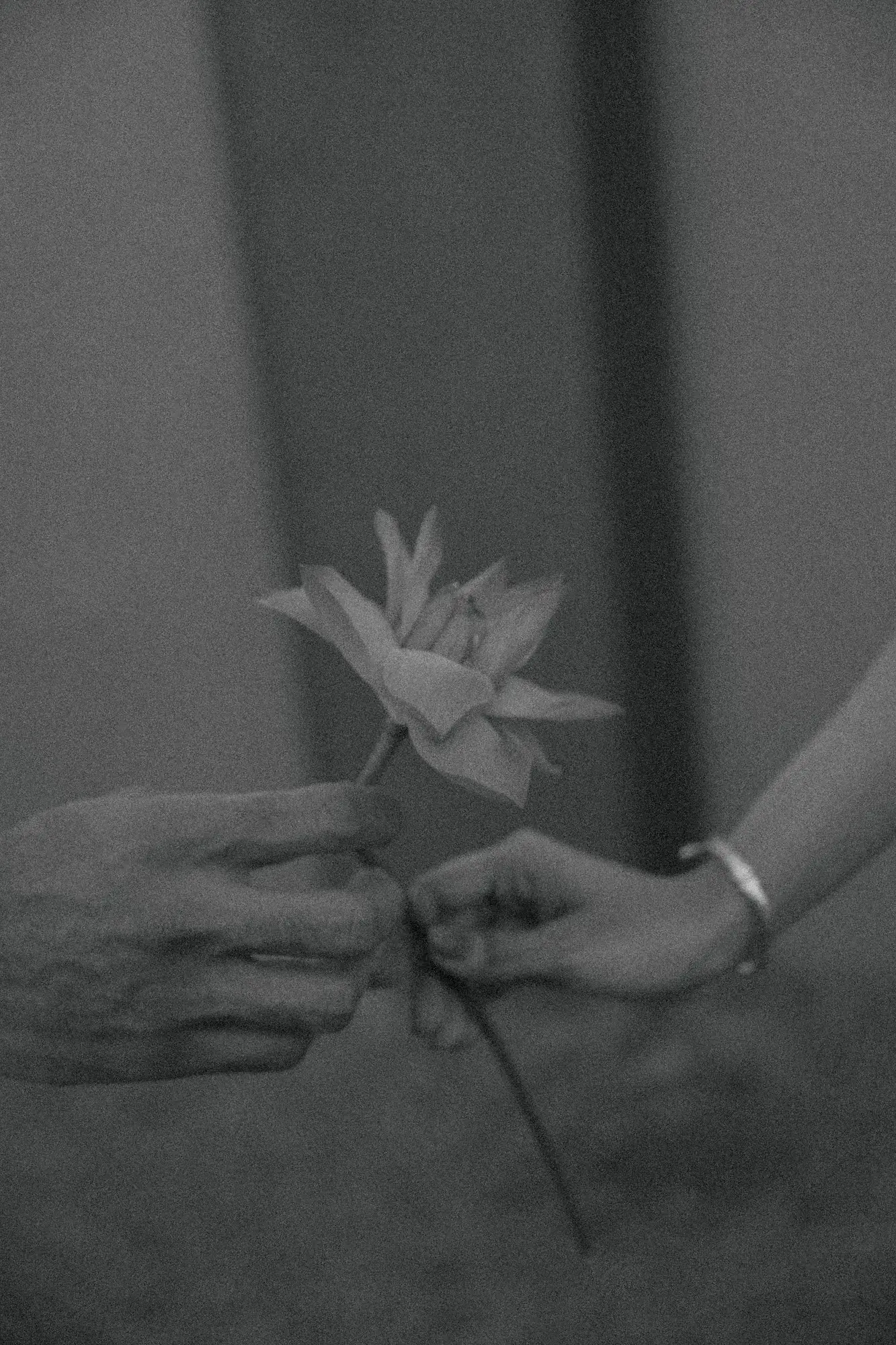 Sandalie & Pramukh photo 1